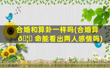 合婚和算卦一样吗(合婚算 🦉 命能看出两人感情吗)